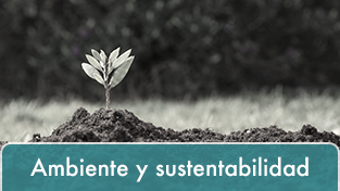 Ambiente y sustentabilidad